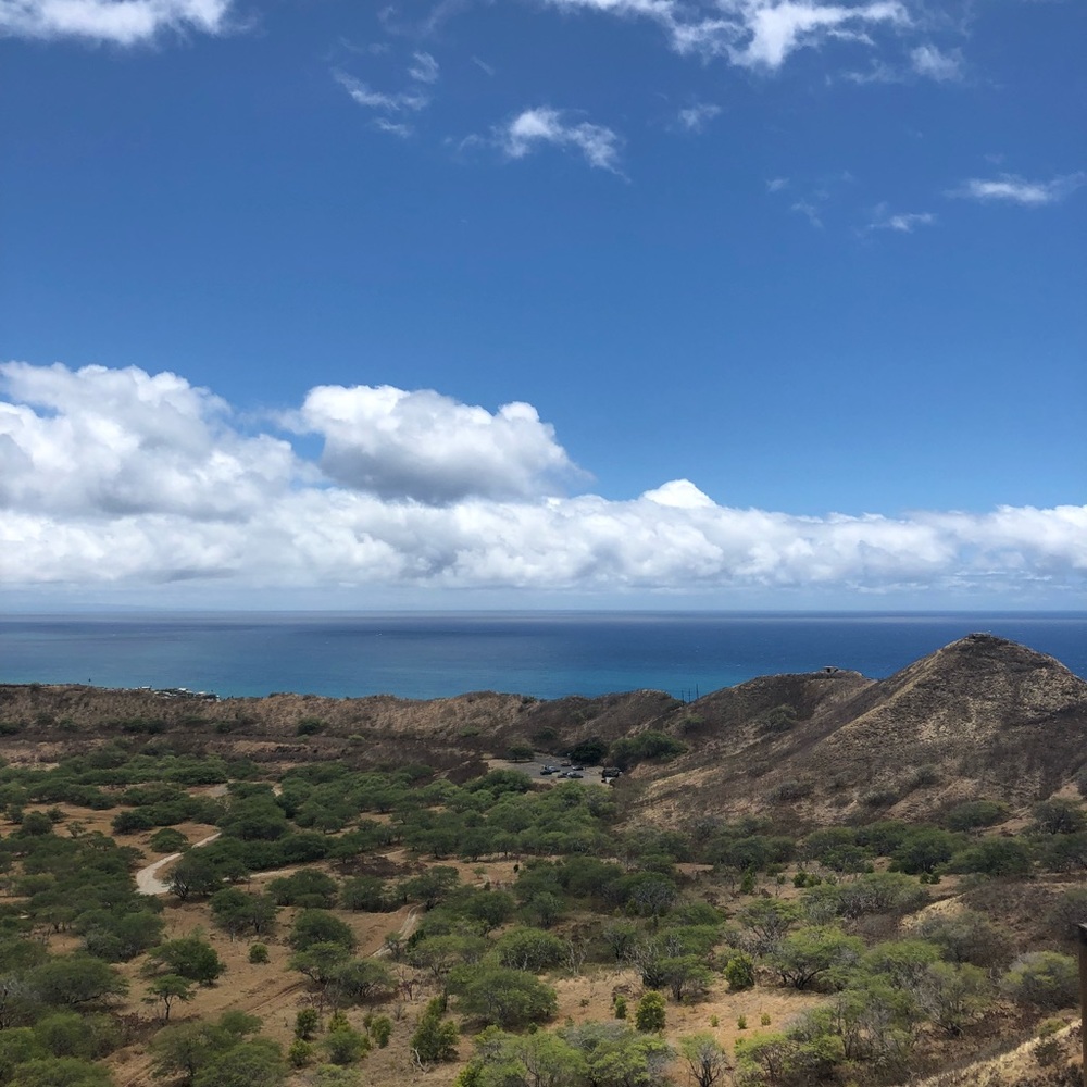 Meet your Posher, Allie